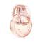 Bvlgari Omnia Crystalline Eau de Parfum (100 ml)
