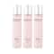 Envy Blush Perfume (60 ml) (Pack of 3) Combo