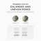 SKIN1004 Madagascar Centella Niacinamide 10 Boosting Shot Ampoule (30 ml)