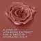 Lakme Rouge Bloom Matte Liquid Lipstick - Cinnamon Sensation 305 (3.5 ml)