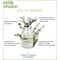 Milk Shake Energizing Blend Scalp Treatment (30 ml)
