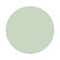 Mint Chocochip (L62)