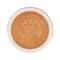 Fashion Colour Super Smooth Translucent Powder - 02 Shade (15g)