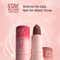 Swiss Beauty Stay All Day Lipstick with Vitamin E & Shea Butter - 5 Bossy (4 g)