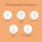 Foxtale Vitamin C Serum 15% L-Ascorbic Acid & 1% Vitamin E Brightening Serum (30ml) Pack of 2 Combo