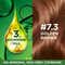 Garnier Color Naturals Creme Riche Hair Color - Shade 7.3 Golden Brown (55ml + 50g)