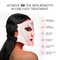Protouch Spectra Glow Led Face Mask