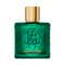 Roberto Cavalli Uomo Verde Assoluto Eau De Parfum for Men (100 ml)