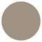 Dull Silver