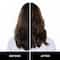 Hask Argan Oil Strengthening Kit (Shampoo, Conditioner, Hair Oil & Deep Conditioner)
