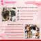 Majestique Hair Section Alligator Clips Set - Pink (6 pcs)