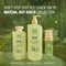 Plum BodyLovin' Matcha, But Disco Body Wash (250 ml)