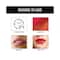 Insight Cosmetics Non Transfer Liquid Lipstick - V22 Burgundy Blend (6ml)