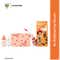 Innisfree Vitamin C Green Tea Enzyme Brightening Serum Set with Jessie Pouch (3 pcs)