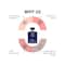 JD COLLECTION Blue De Clubs au De Toilet Perfume (100ml)