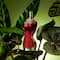 Jean Paul Gaultier La Belle Eau De Parfum (100ml)