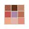 Sunshine-Day Palette