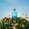 Hollister Feelin' Good Eau De Toilette for Men (100 ml)