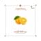 Khadi Natural Orange Fruit Peel Organic Powder (100g)