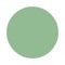 Green Corrector