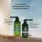 L'Occitane Anti-Dandruff & Gentle Cleansing Shampoo Duo Combo