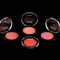 Lakme Absolute Face Stylist Blush Duos - Rose Blush (6g)