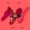 Lakme Absolute Matte Revolution Lip Color - 103 Maroon Fantasy (3.5g)