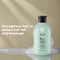 Brillare Ceramide Shampoo (300 ml)