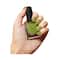 Live Your Now (LYN) Fast Dry Non Toxic Nail Polish - Green Sprint (8ml)