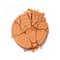 Daily Life Forever52 Academic Bronzer - FAC203 Desert Dune (21 g)
