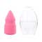 PAC Master Blend Sponge (1 pc)