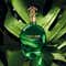Roberto Cavalli Signature Verde Assoluto Eau De Parfum for Women (75 ml)