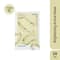 Innisfree Vitamin C Active Mask (25ml)
