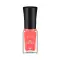 Miss Claire Gel Effect Nail Polish - G09 (5ml)