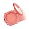 Miss Rose Professional High Pigmented Blusher - 01 Coffee Brown (20g)