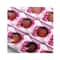 Miss Rose Professional High Pigmented Blusher - 04 Creamy White (20g)