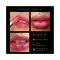 MyGlamm Manish Malhotra Hi-Shine Lipstick - Rose Romance (4 g)