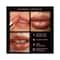 MyGlamm Manish Malhotra Hi-Shine Lipstick - Sunset Sienna (4g)
