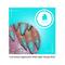 Nails On Board Handmade Press On Gel Nails - Holographic Aqua Blue X Small (50 g)