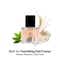 ANILLO Black Tea Nourishing Hair Essence with Argan Oil for Deep Hydration and Silky Shine (50 ml)