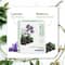 Organic Harvest Diamond Facial Kit (60 g)