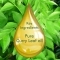 Organic Harvest Curry Leaf Essential Oil (10ml)