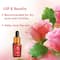 Organic Harvest Rose Essential Oil (10ml)