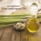 Organic Harvest Lemon Grass Essential Oil (10ml)