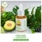 Organic Harvest Skin Illuminate Vitamin C Face Serum (30ml)