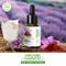Organic Harvest Vitamin A Face Serum (30ml)