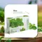 Organic Harvest Mint Bathing Bar (125g)