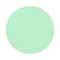 16/Cyber Mint