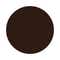04 Burnt Umber