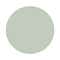 C1 Mint Green